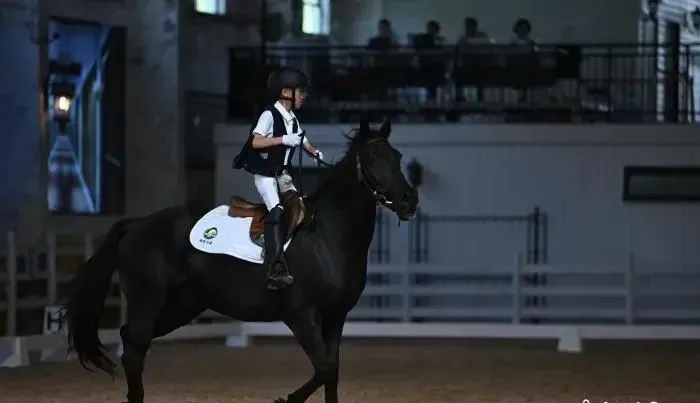 都优配送端 采用联合“马主”机制，促安徽马术运动跃升发展