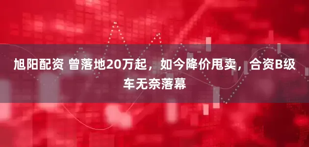 旭阳配资 曾落地20万起，如今降价甩卖，合资B级车无奈落幕